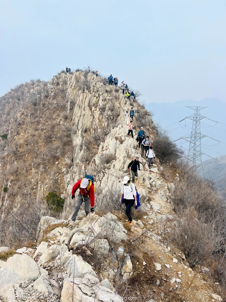 mmexport1731236048915_edit_284546281000850