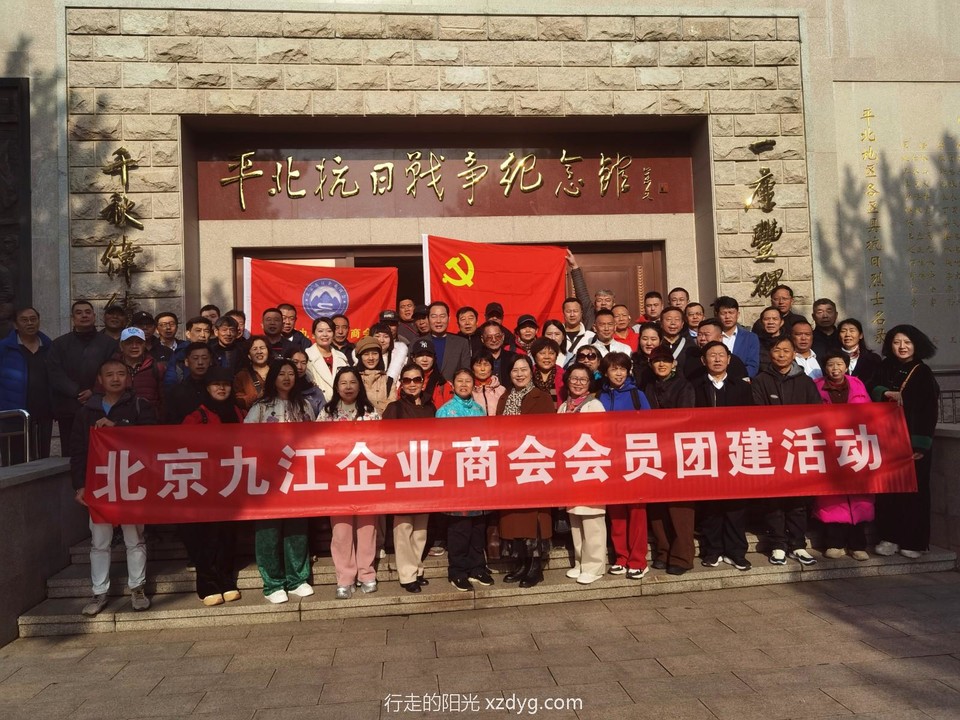 IMG_20241115_110902_1_edit_511668662022964