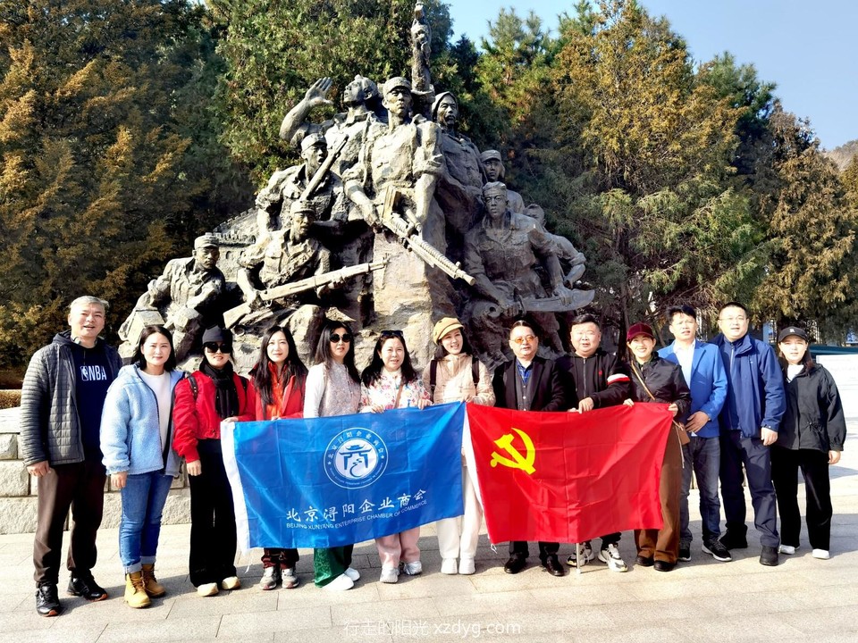 IMG_20241115_112419_edit_511603161266203