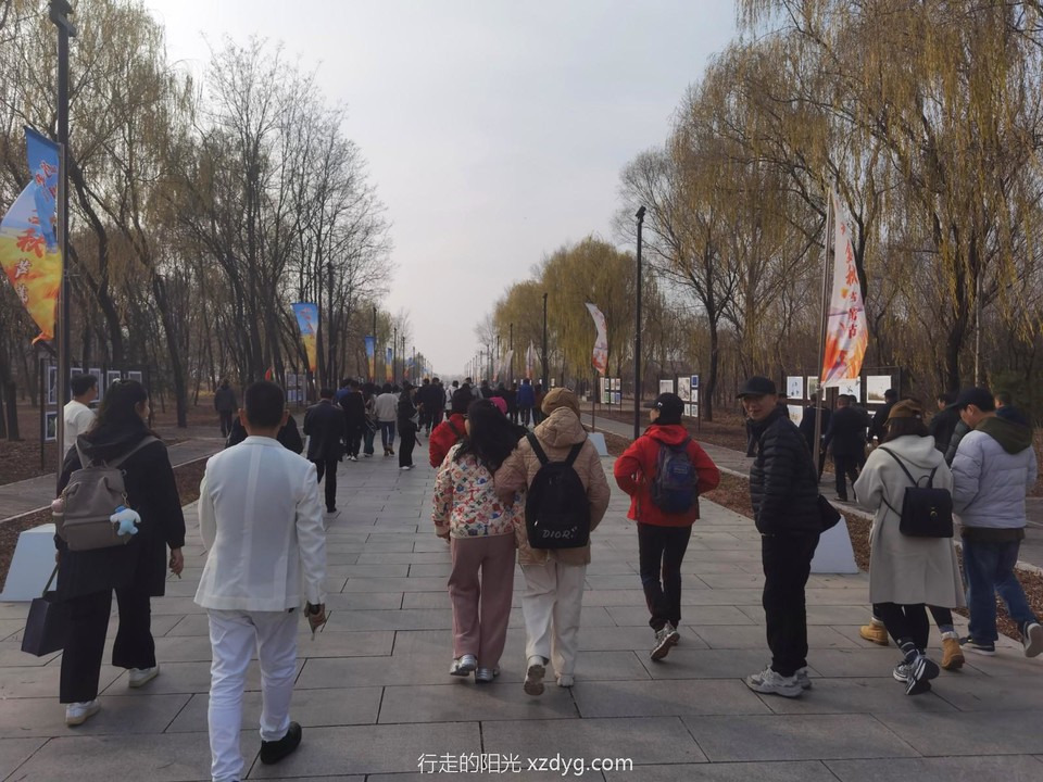 IMG_20241115_140514_edit_514906106064137