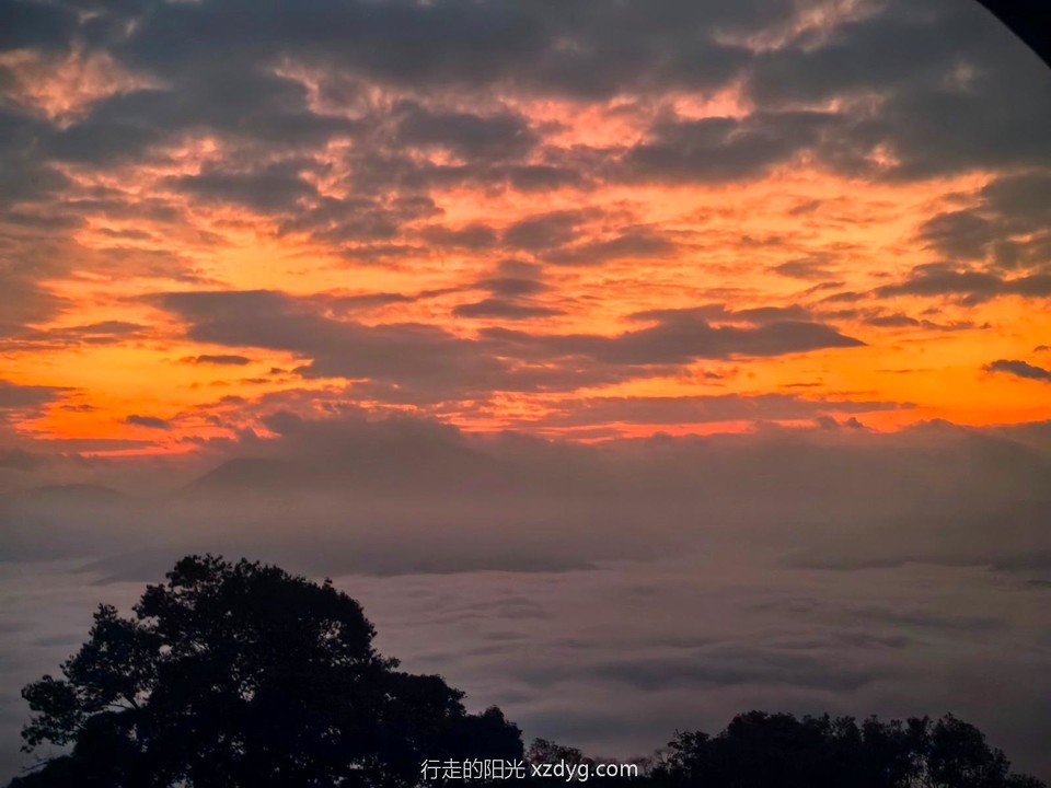 mmexport1732459479741