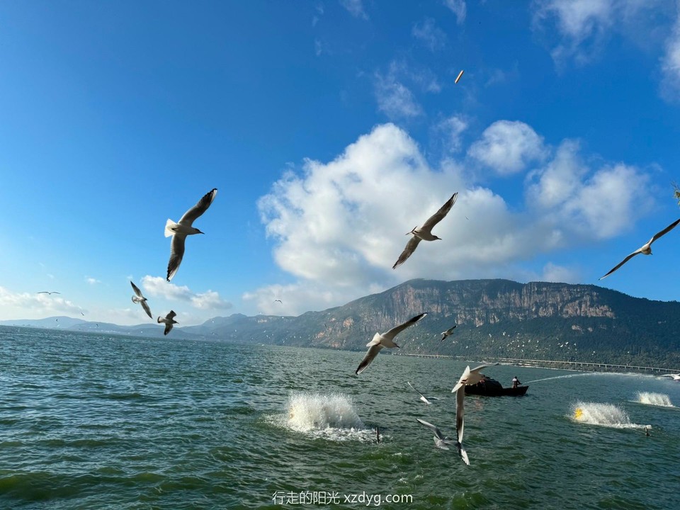 mmexport1732459172179