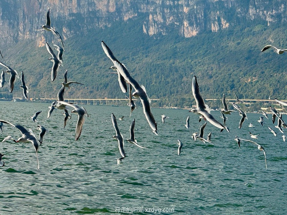 mmexport1732459153990