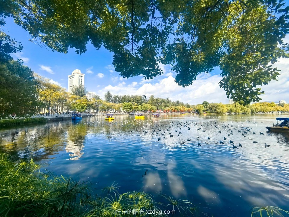 mmexport1732459129619