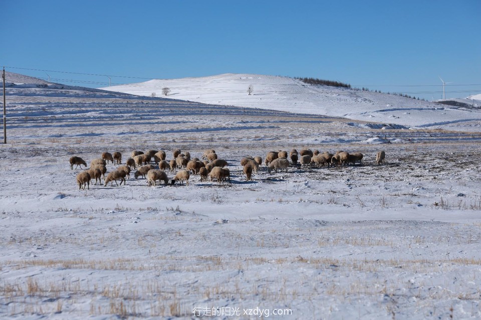 mmexport1734182888397