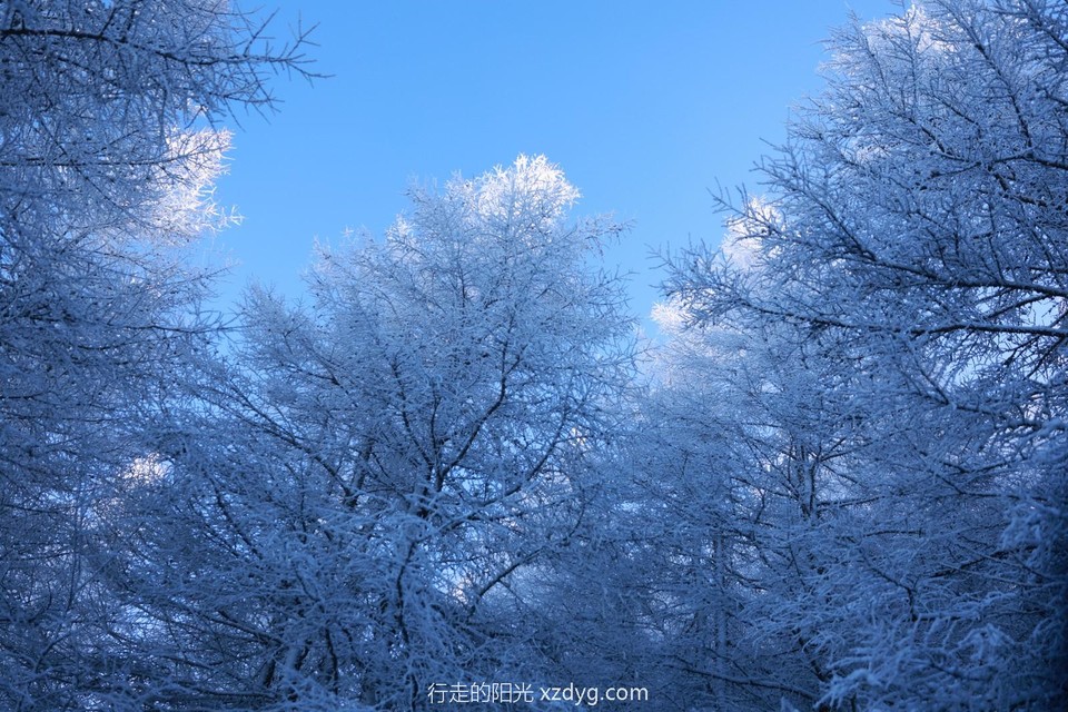 mmexport1734182936799