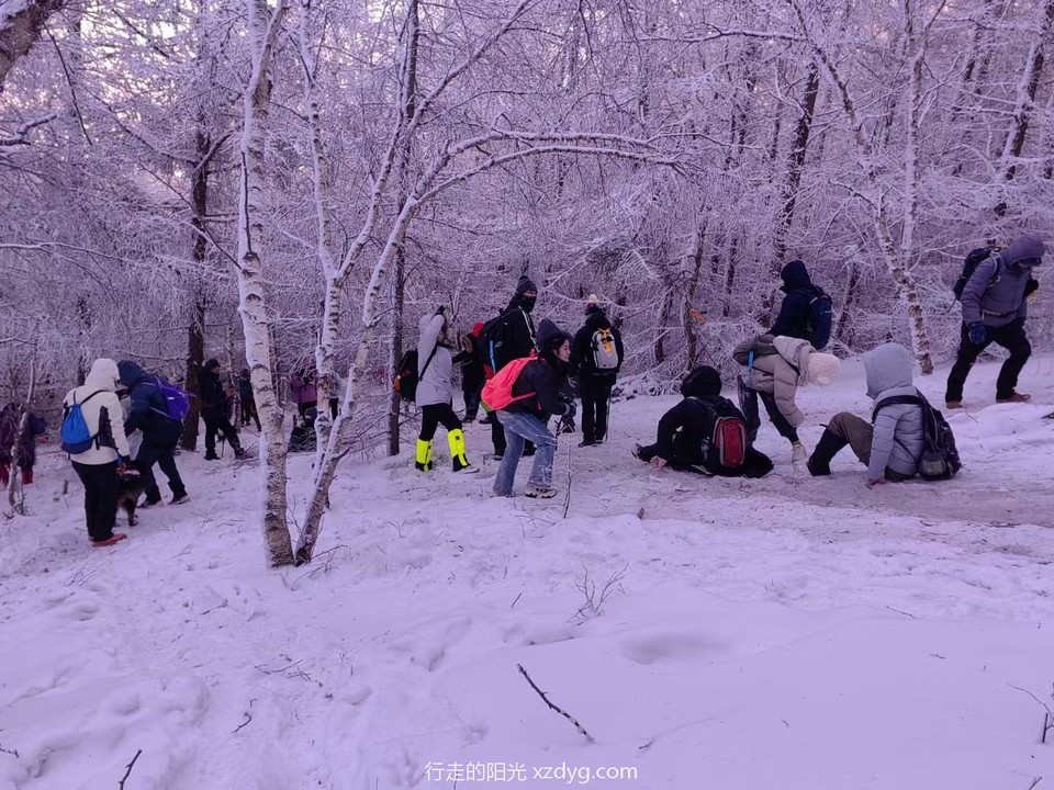 mmexport1734175855618