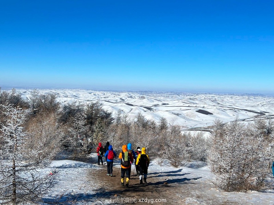 mmexport1734175751206