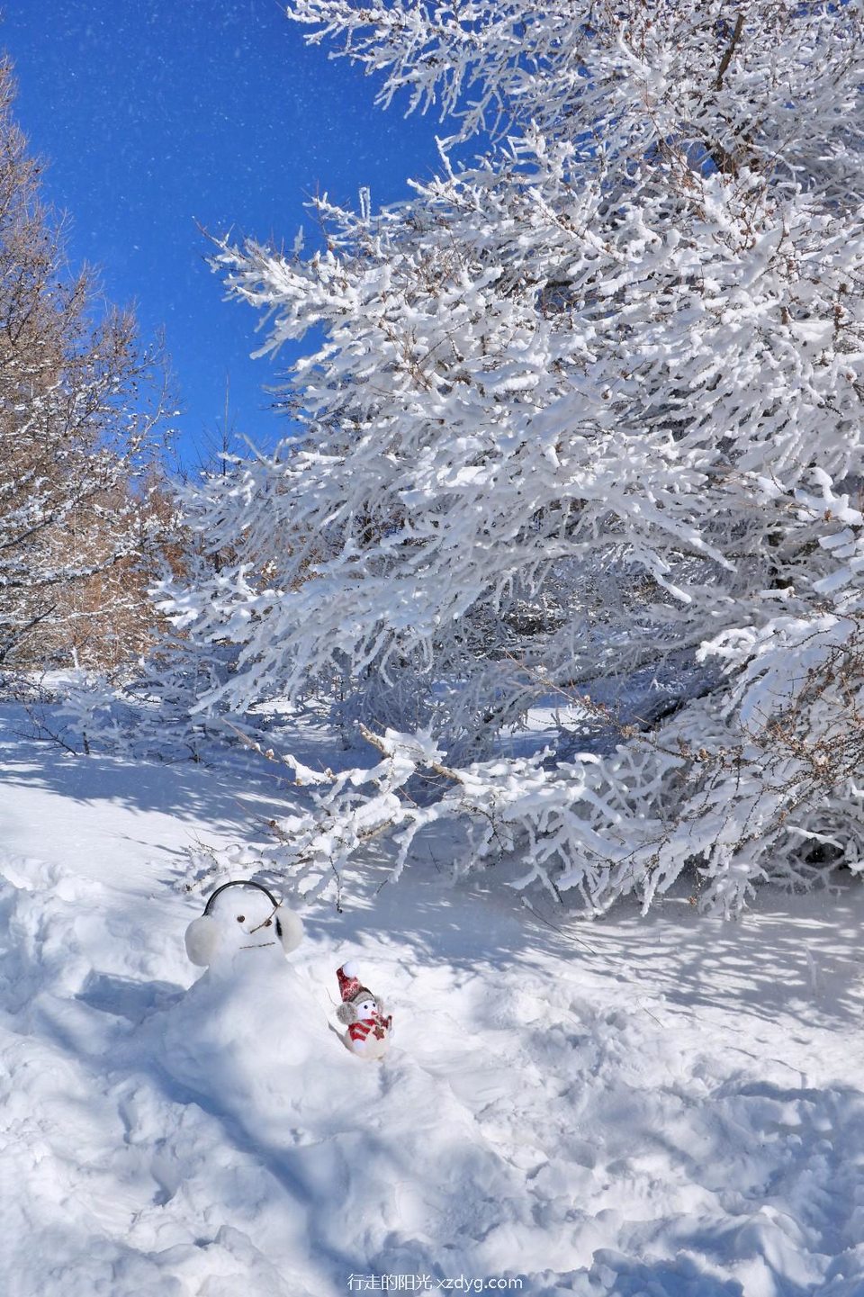 mmexport1733754404627