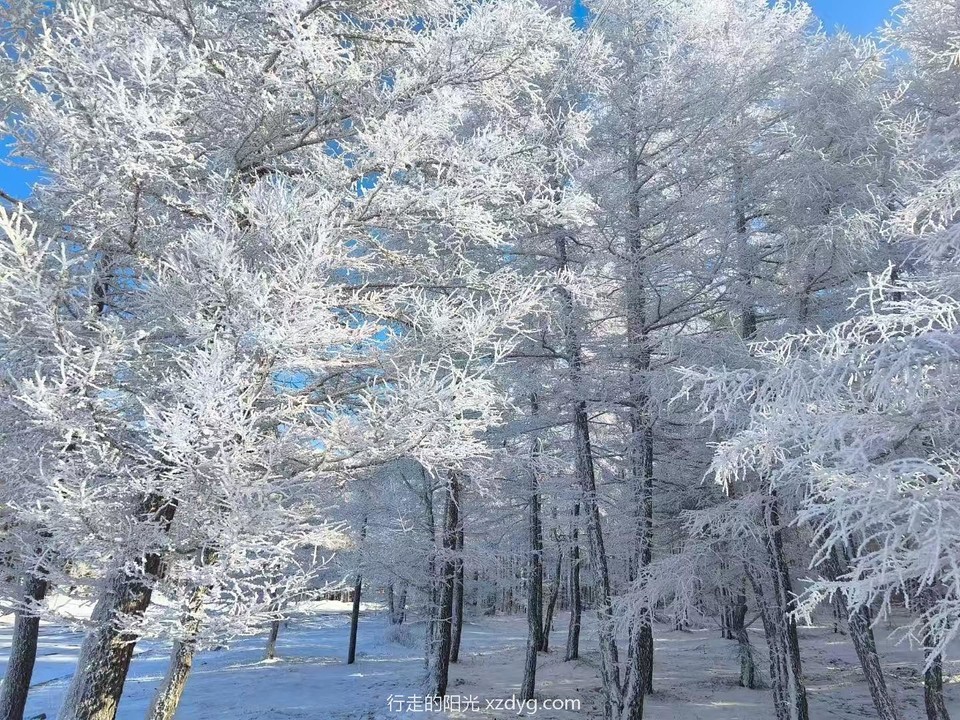 mmexport1733739089121