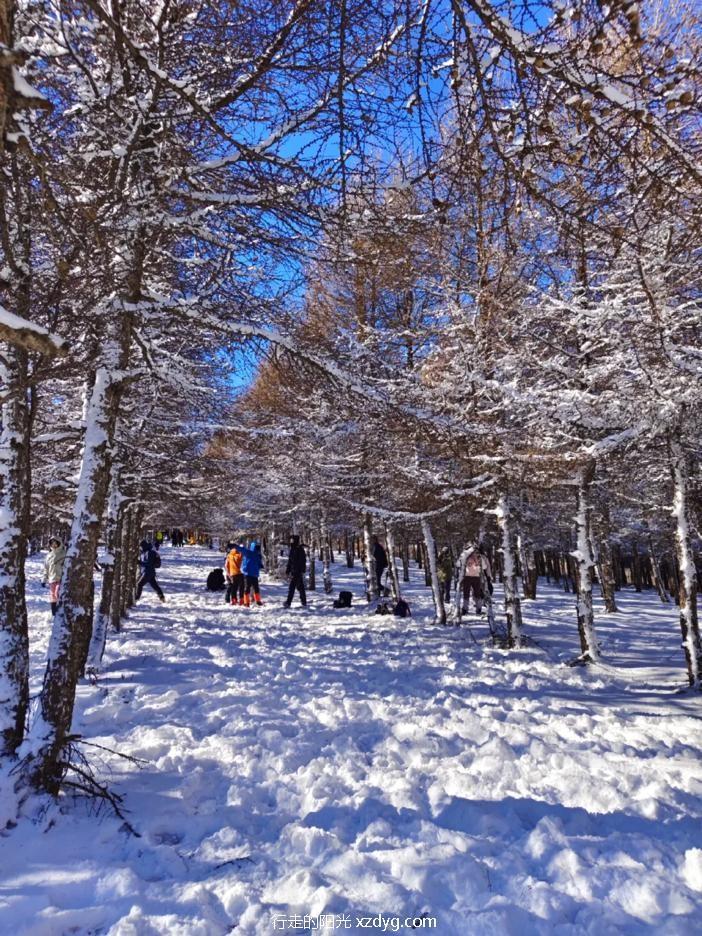 mmexport3357ca0042381fbe95de71c1e114af27_1733739218365