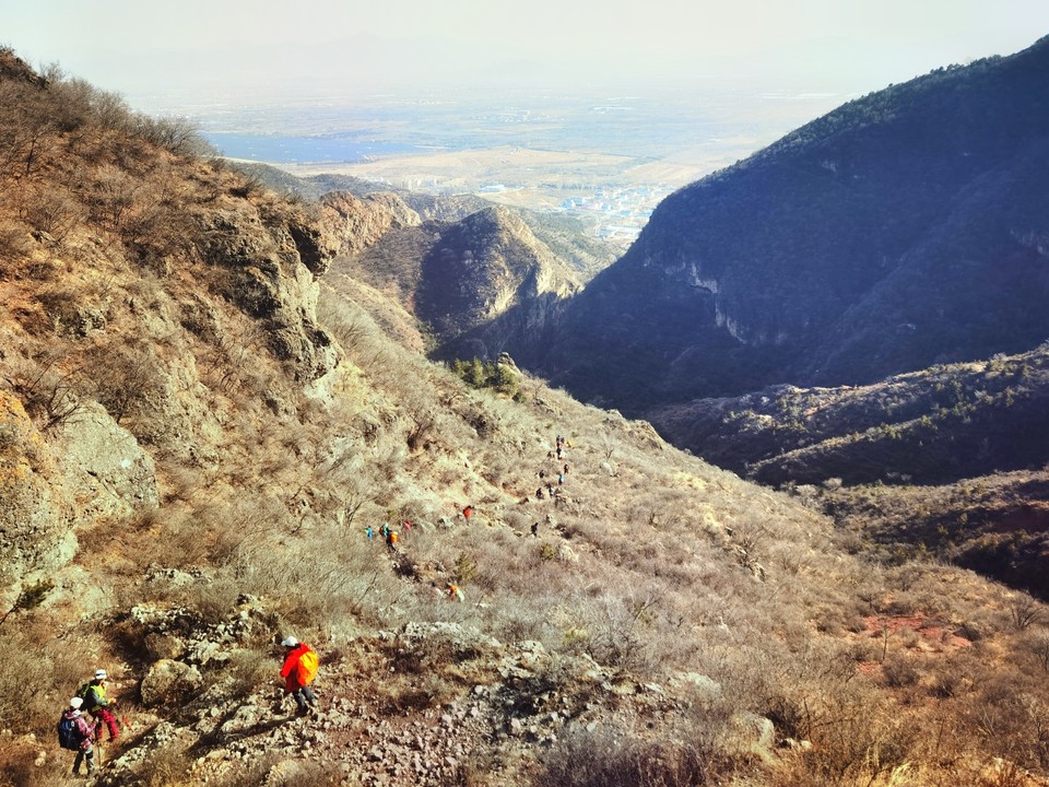 IMG_20250215_143847_edit_333861306838638