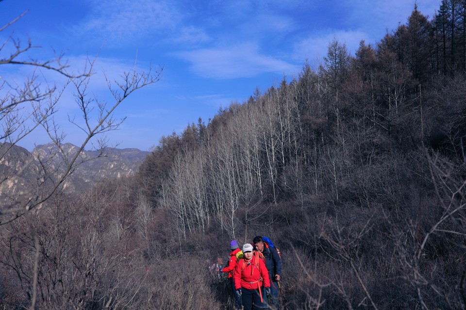 MEITU_20250216_114136814