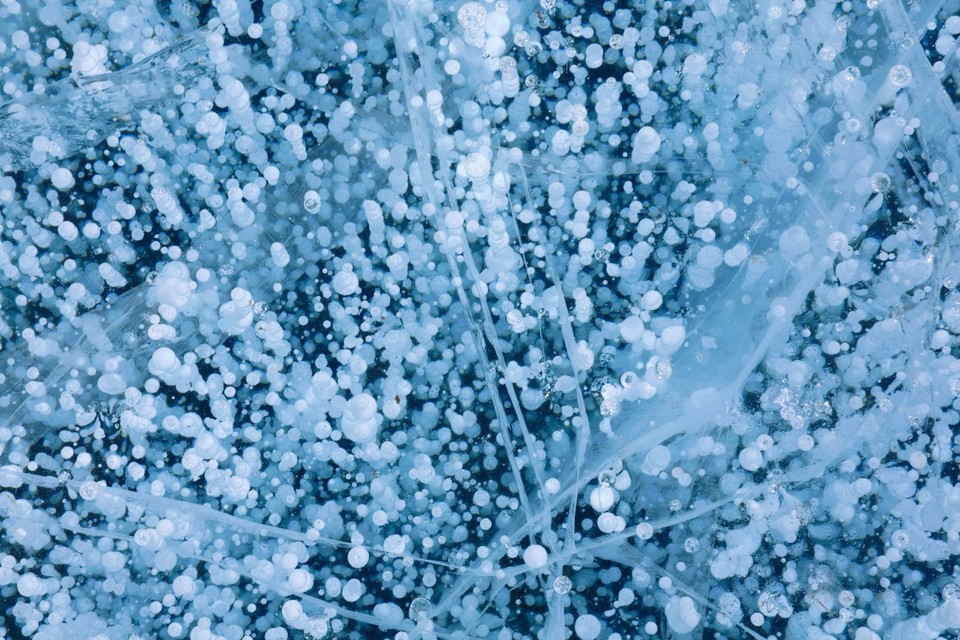 MEITU_20250216_114241540