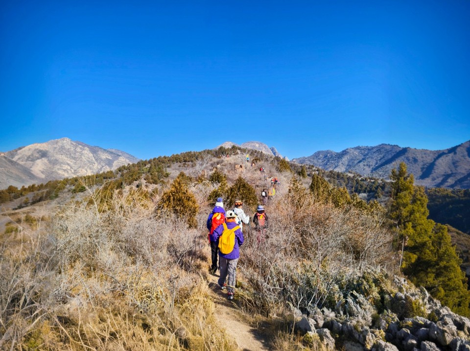 mmexport1739676499281