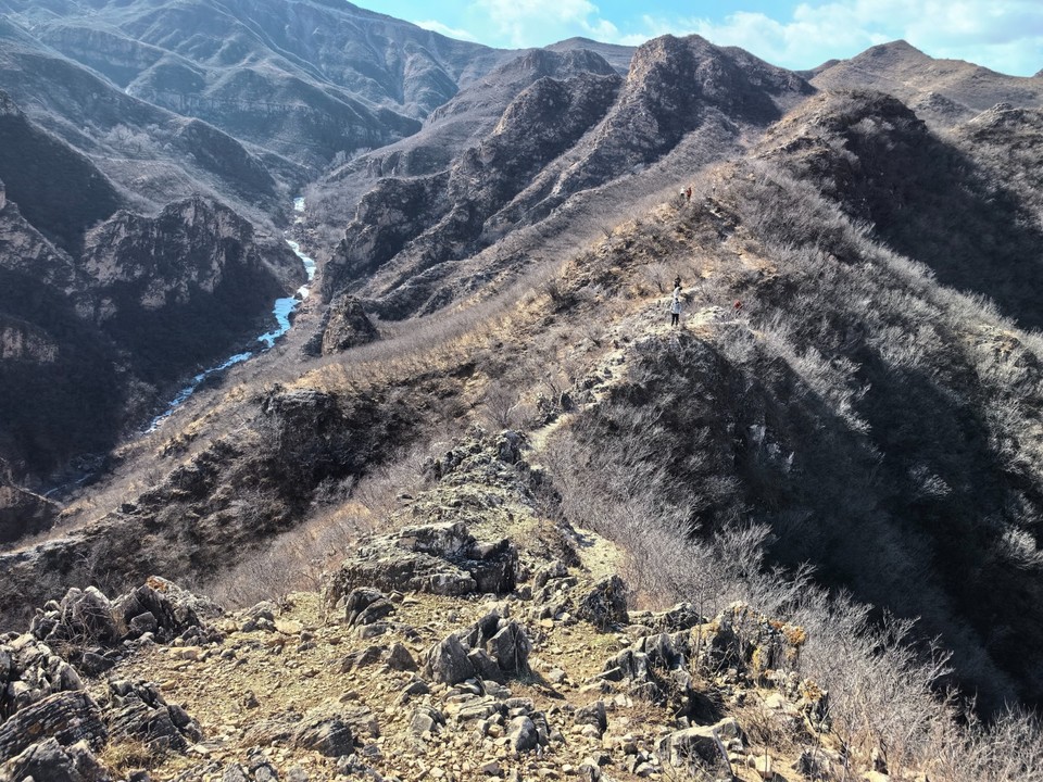 mmexport1739757469769