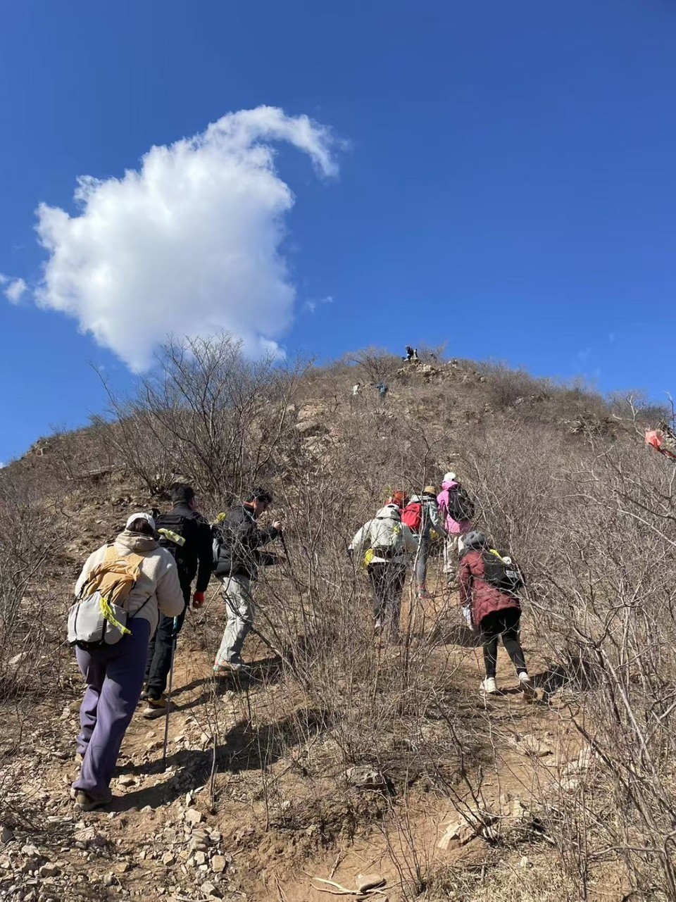 mmexport1739709702772