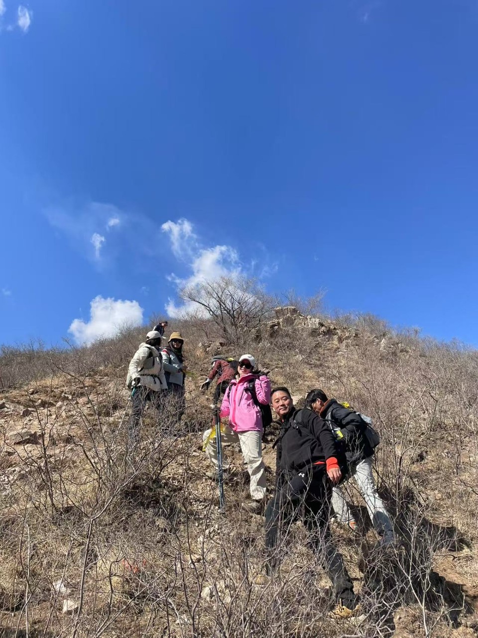 mmexport1739709688789