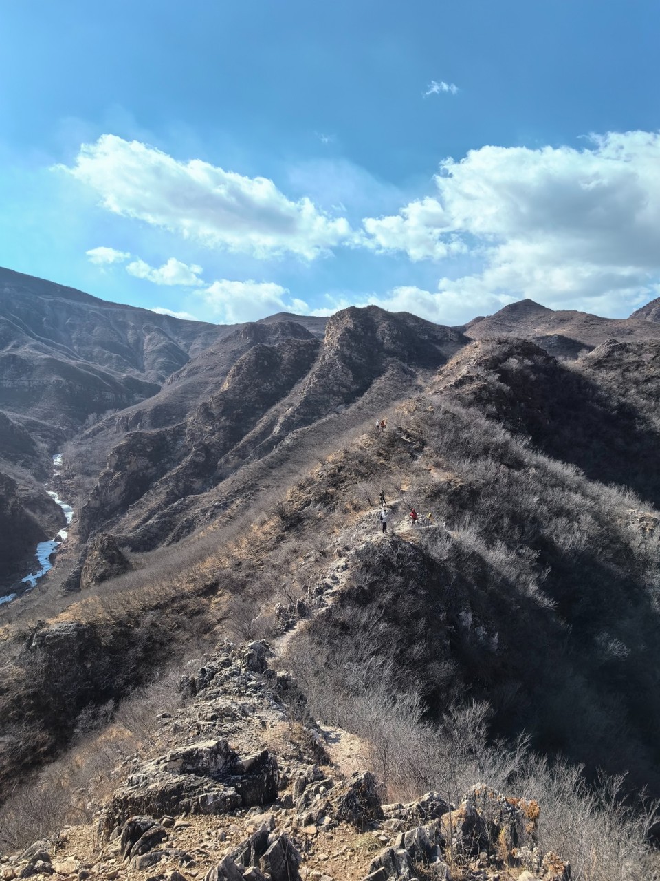 mmexport1739709639667