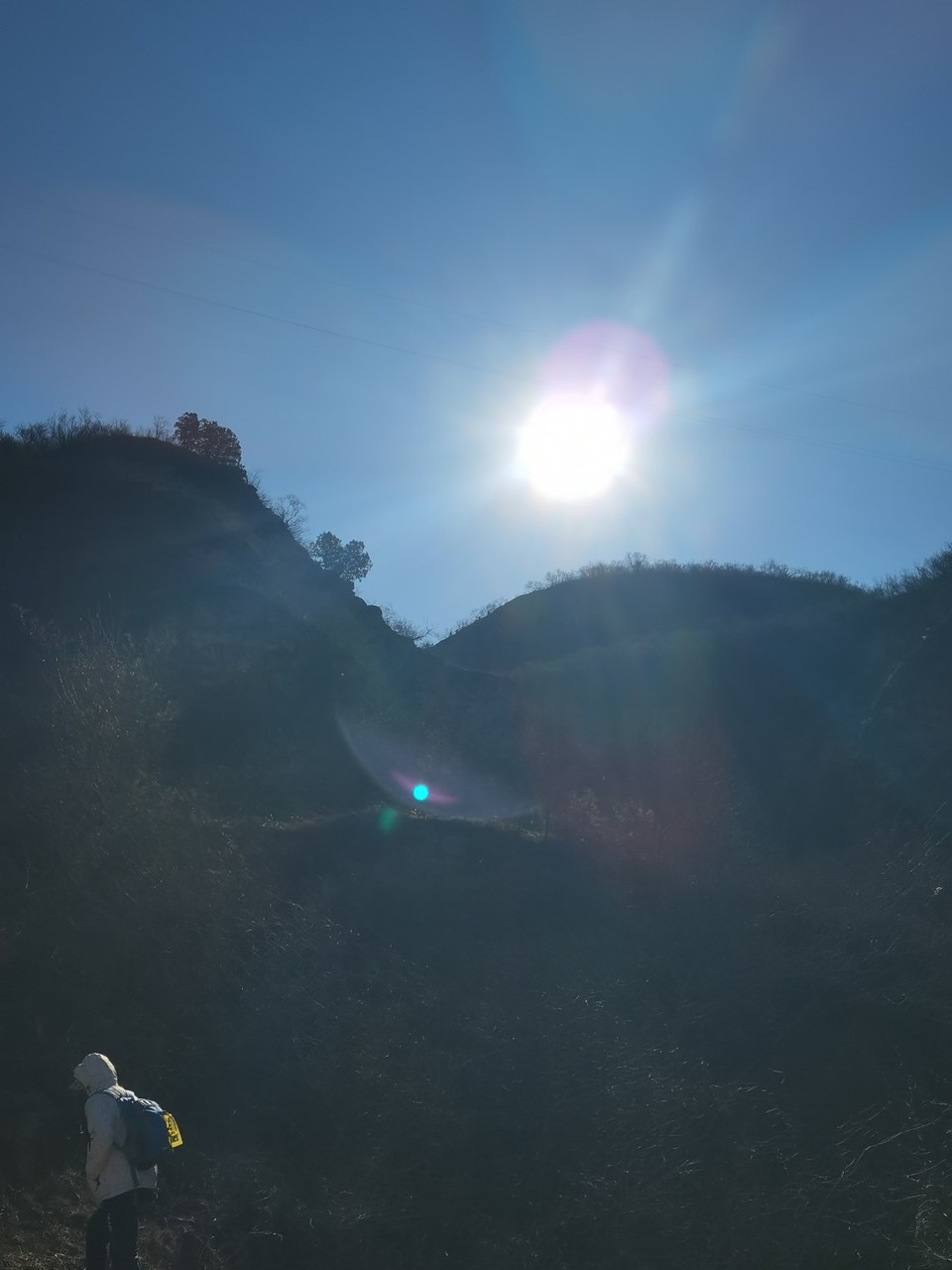 mmexport1740224111189