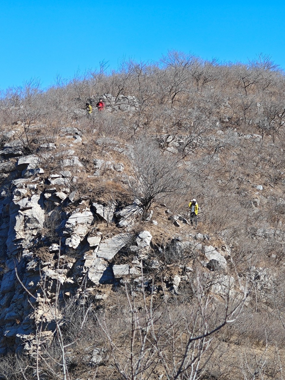 mmexport1740224200966