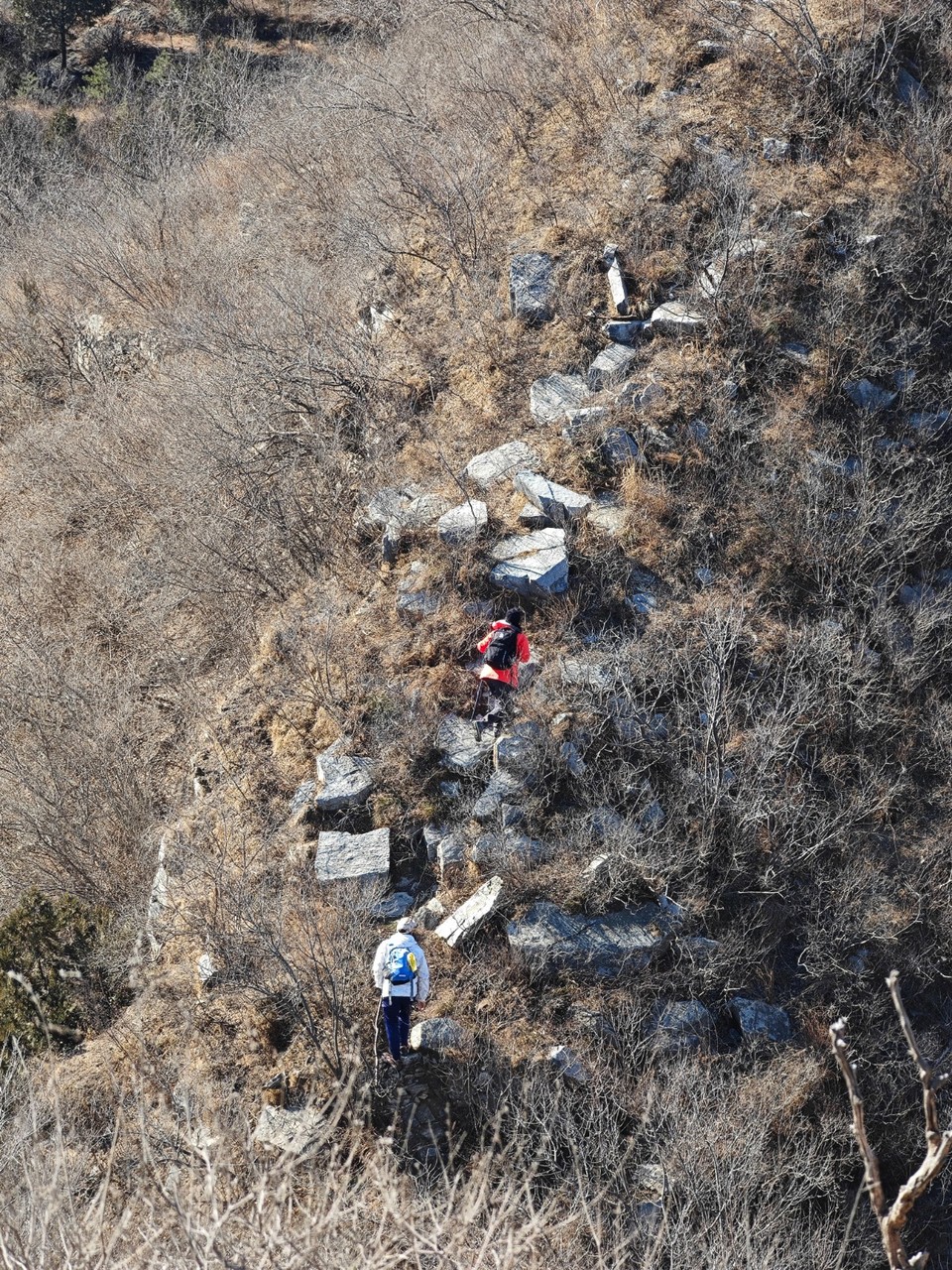 mmexport1740224213904