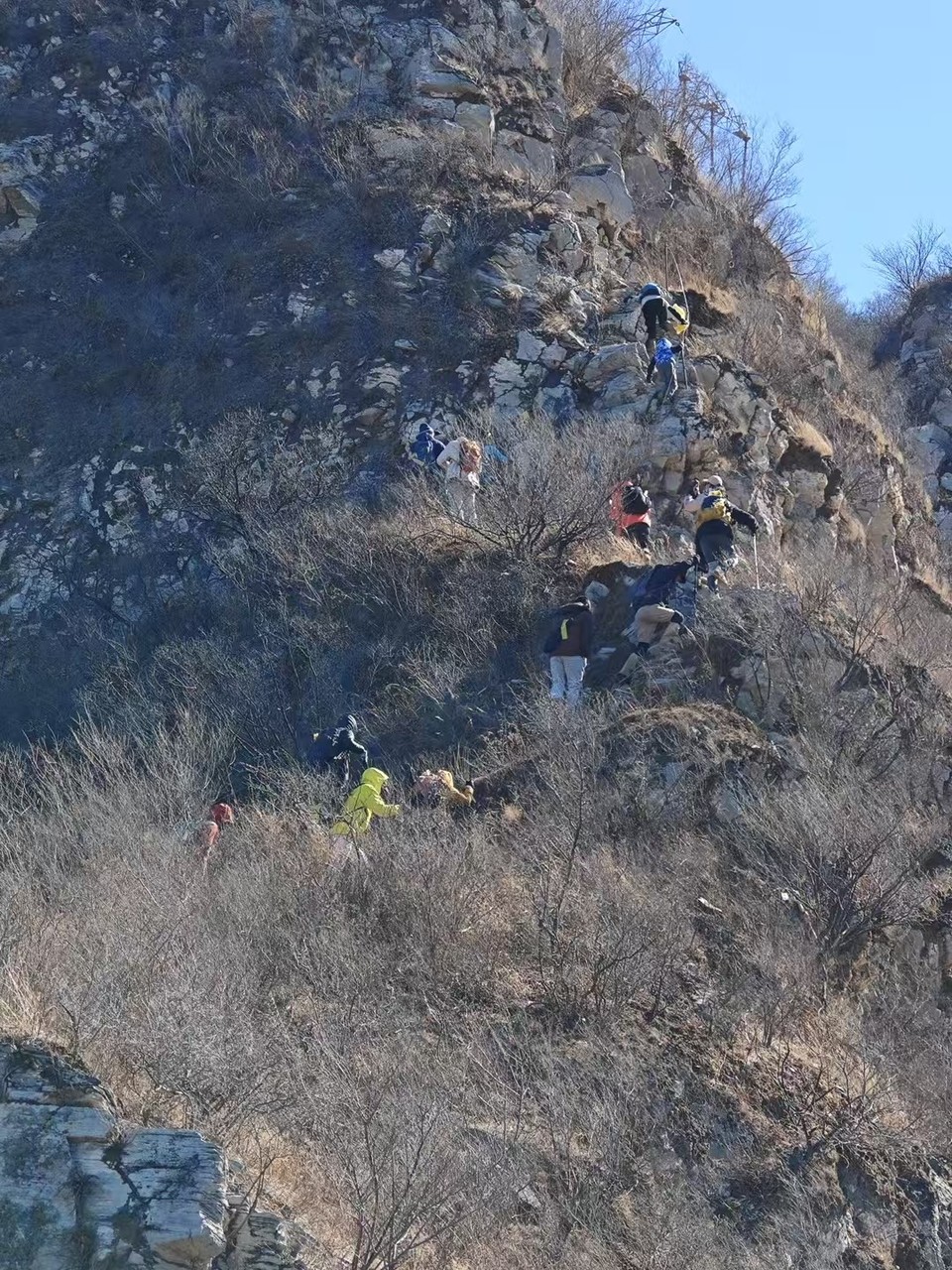 mmexport1740229044775