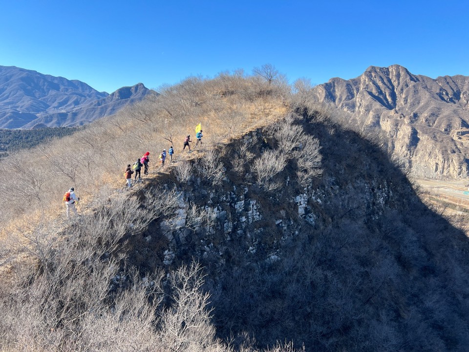 mmexport1740285197309