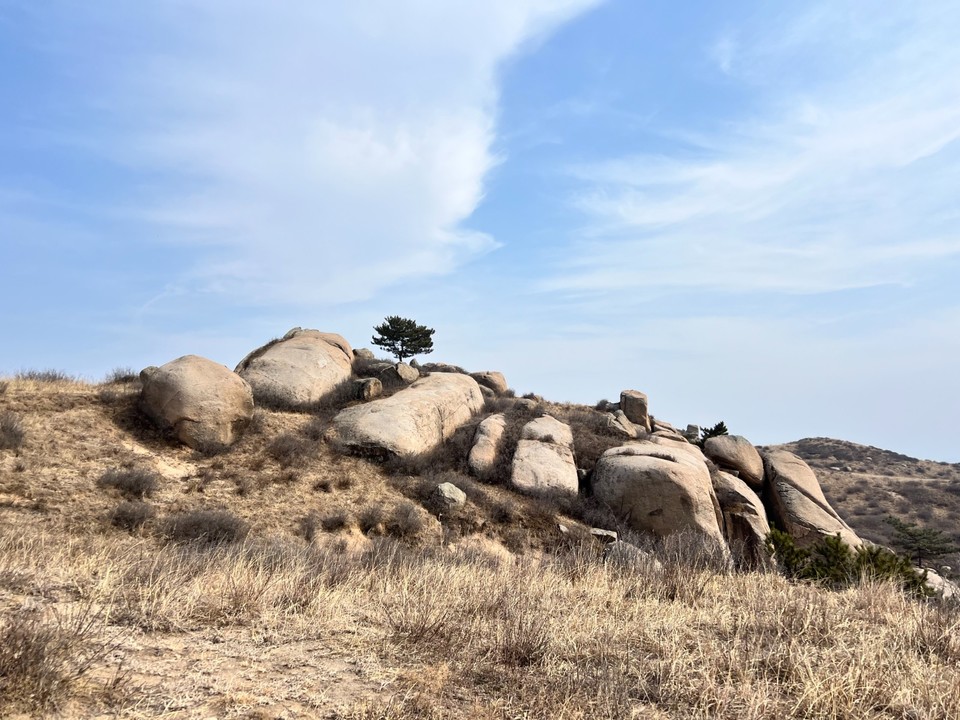 mmexport1740893495080