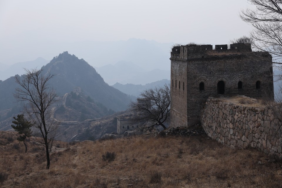 mmexport1740890970137