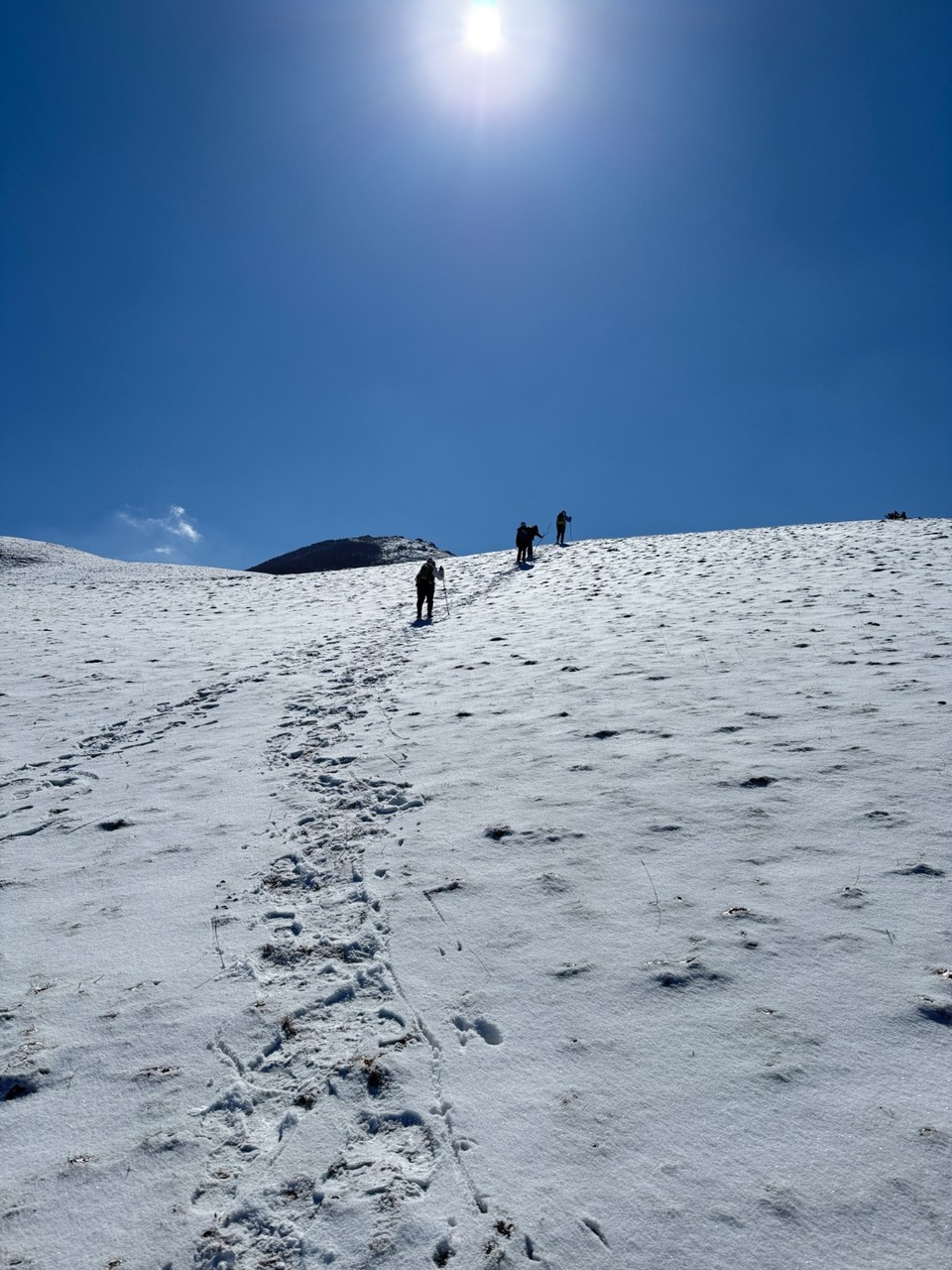 mmexport1741514489862