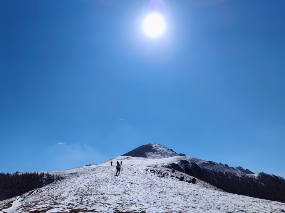 mmexport1741436959047