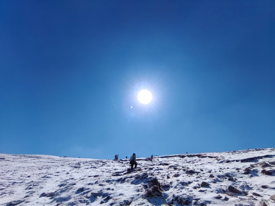 mmexport1741436906631