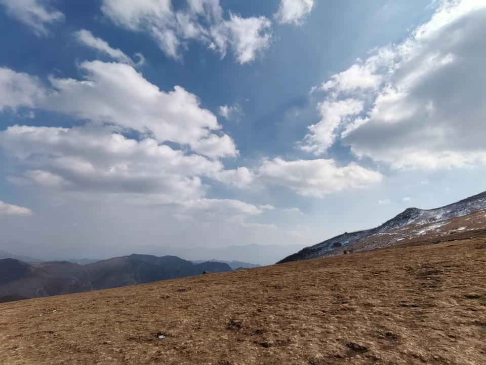 mmexport1741436891586