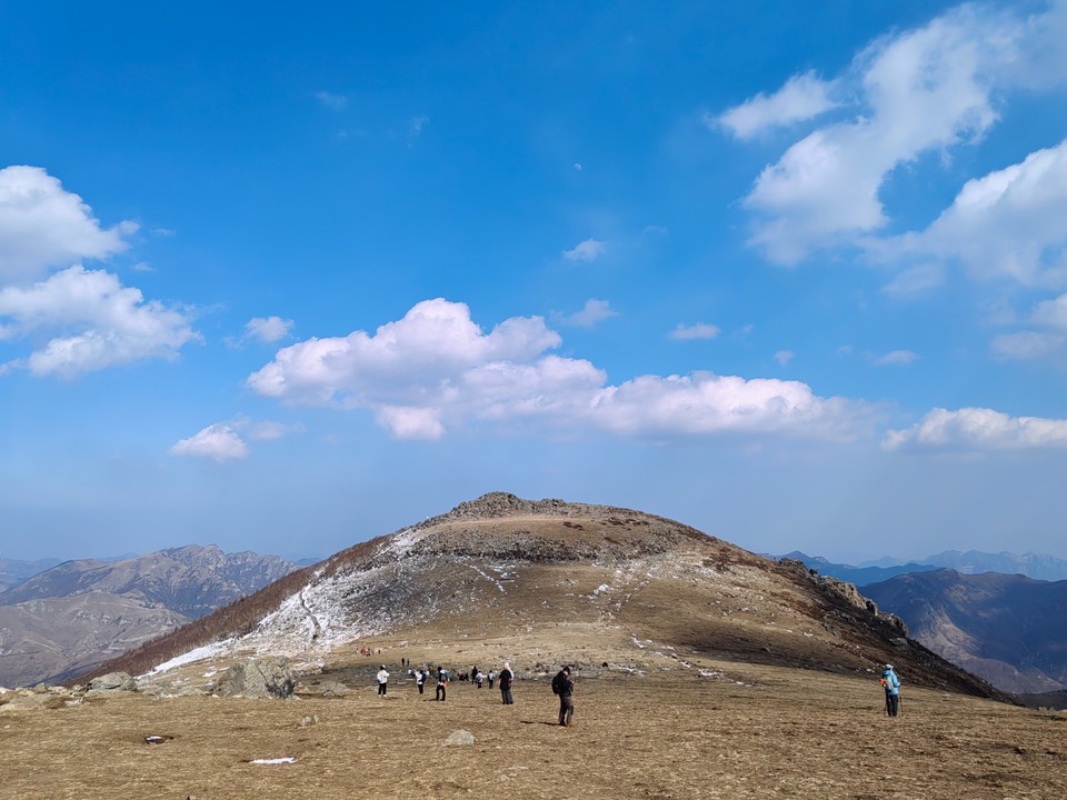 mmexport1741436867888