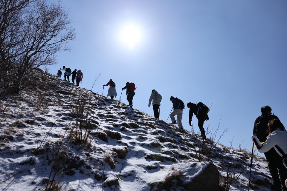 mmexport1741436820968