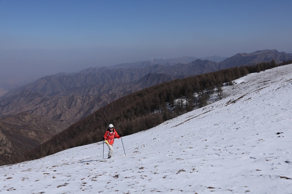 mmexport1741436668478