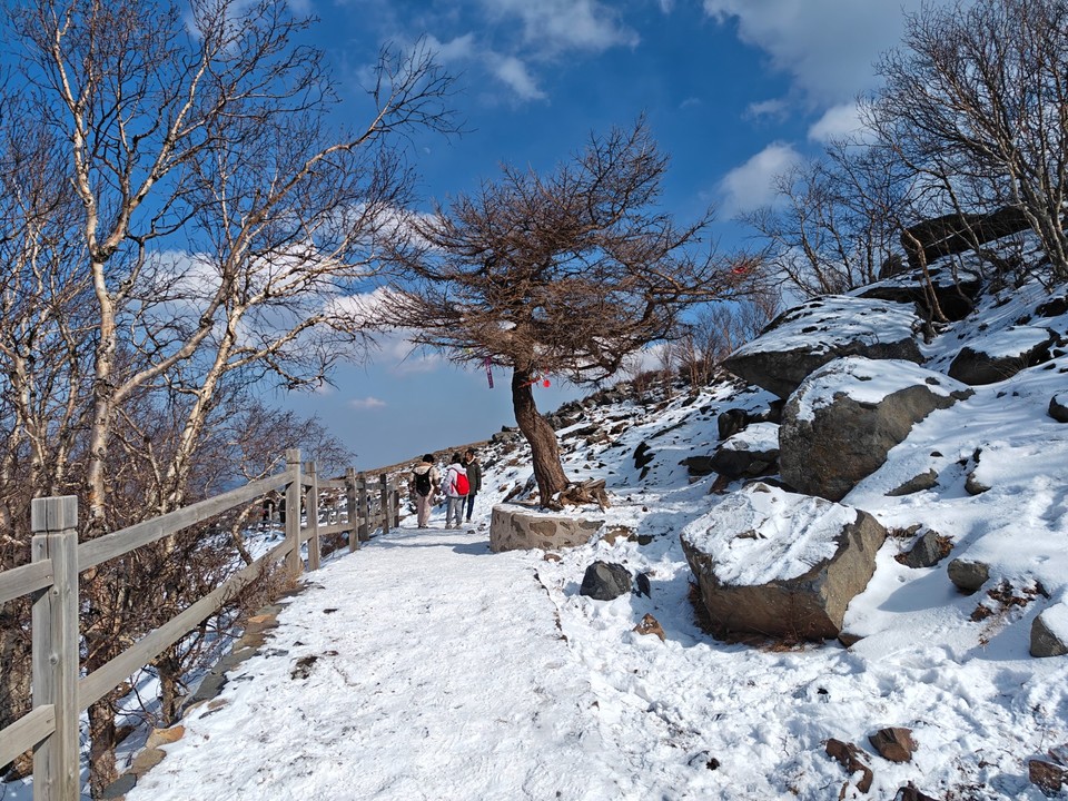 mmexport1741423888728