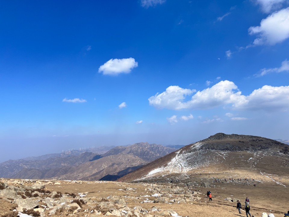 mmexport1741424012930