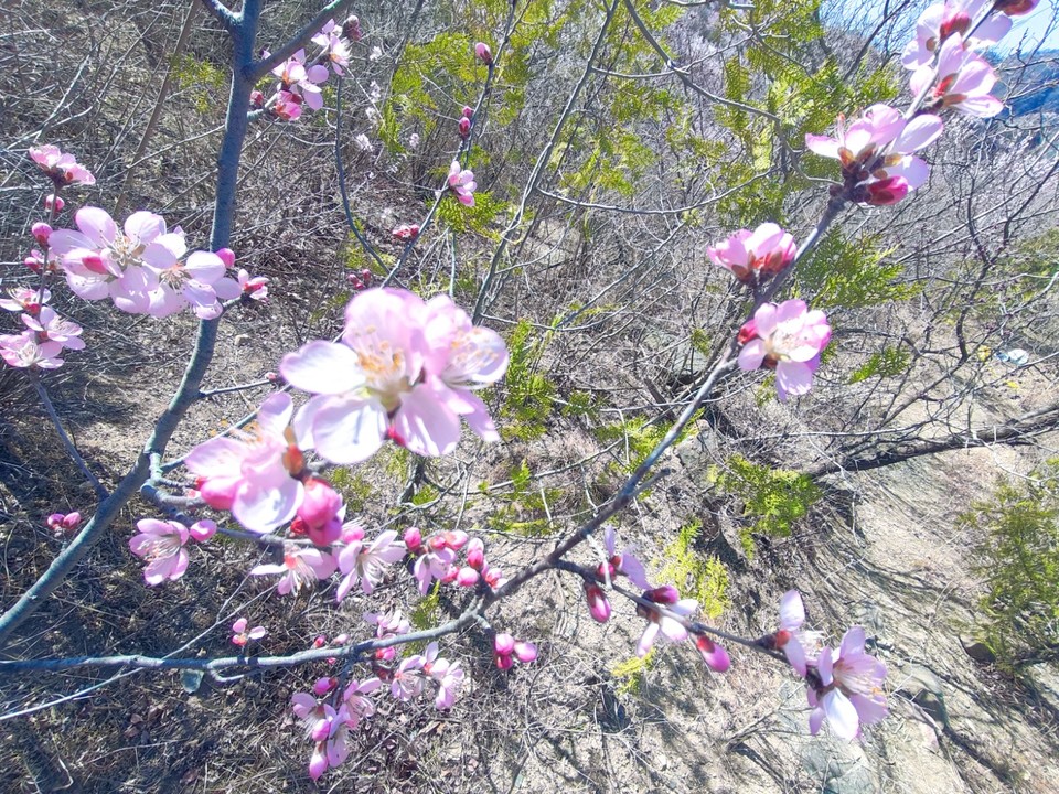 MEITU_20250322_202543083