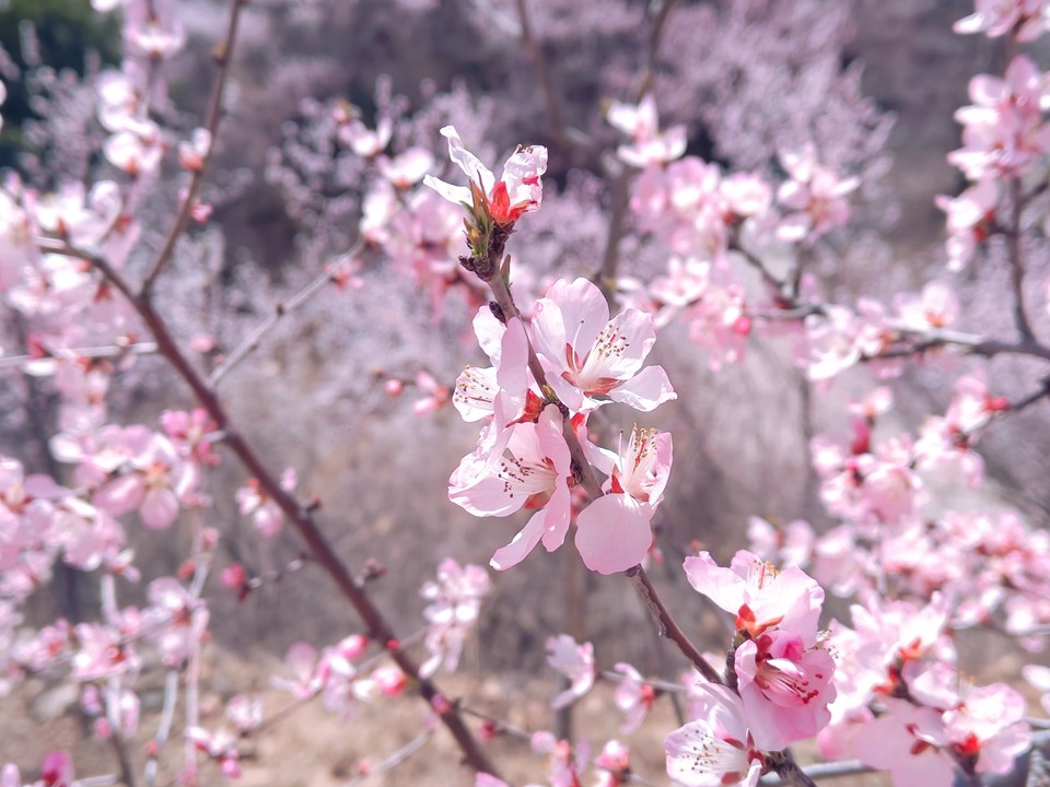 MEITU_20250322_202531025