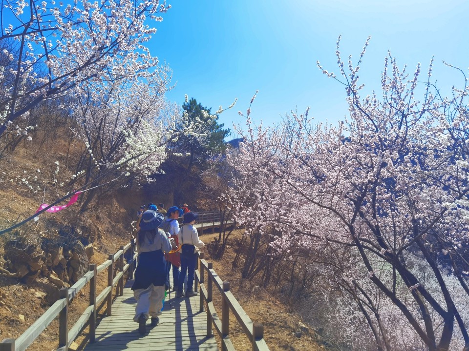 MEITU_20250322_210458681