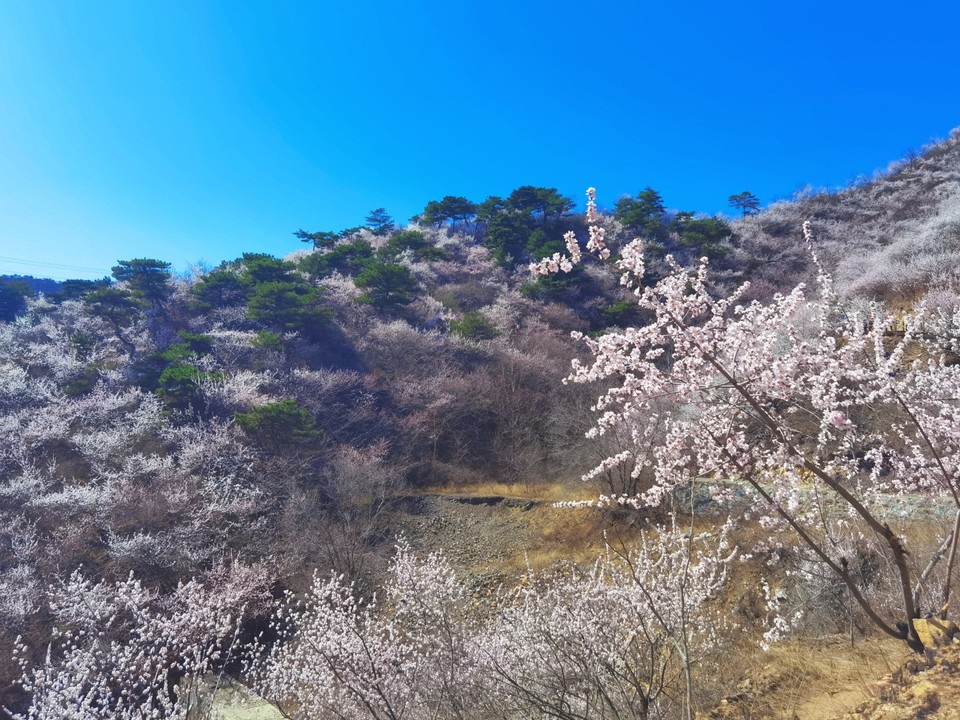 MEITU_20250322_210512389