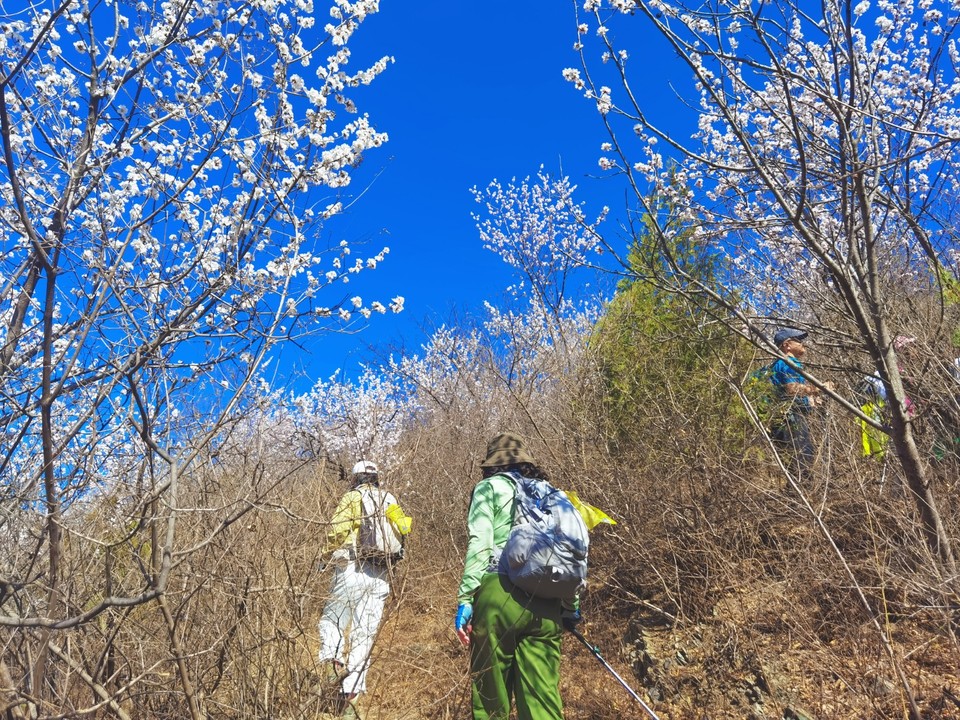 MEITU_20250322_210528010