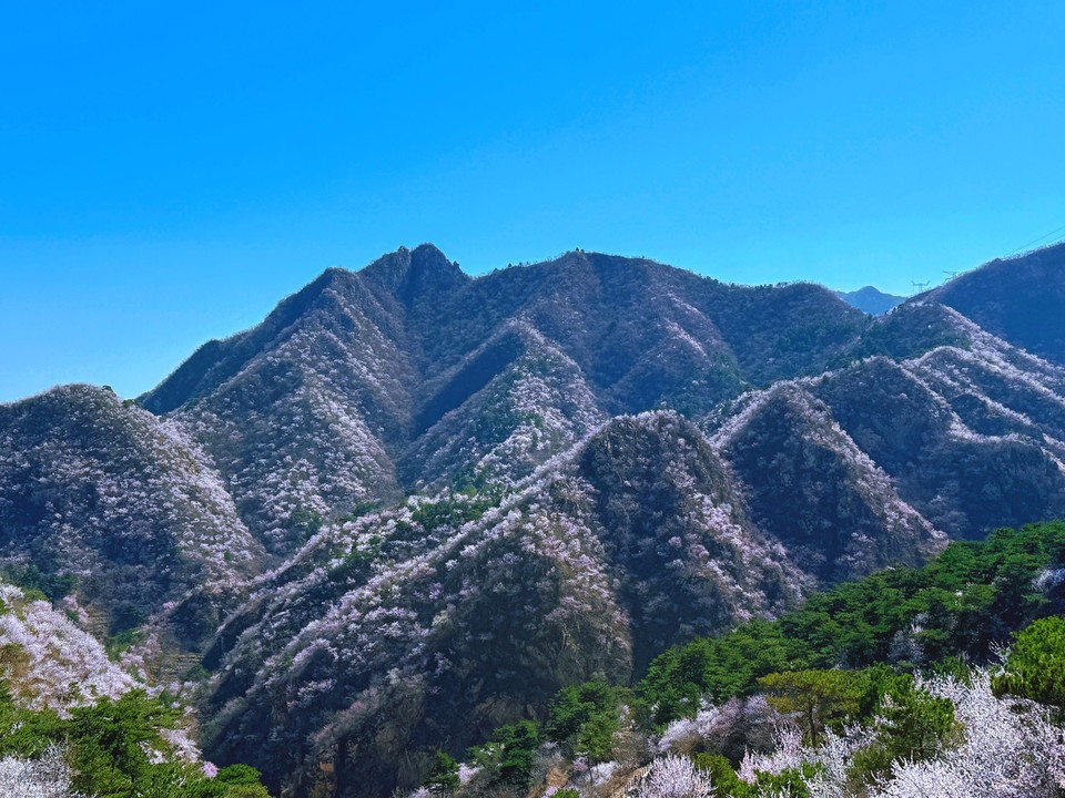 MEITU_20250322_202507490