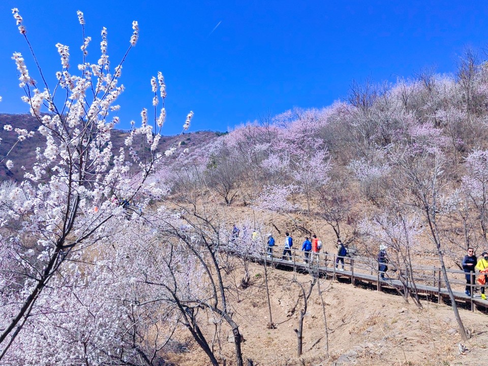 MEITU_20250322_202332443