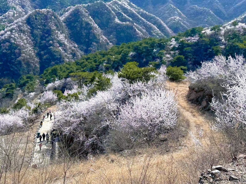 MEITU_20250322_202314636