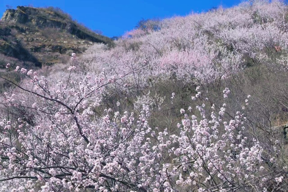 MEITU_20250322_202257025