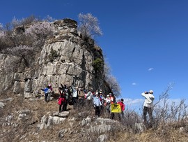 mmexport1743242247721