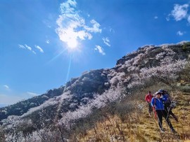 MEITU_20250329_180345206